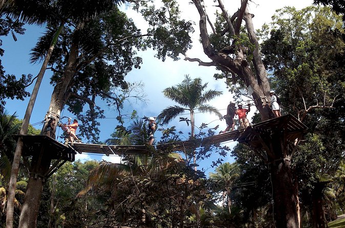 Zip Line over the Dunns River Falls - The Main Drawback: A Short Course