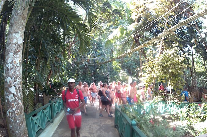 Zip Line over the Dunns River Falls - Booking, Price, and Cancellation Risk