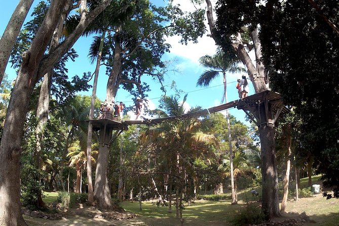 Zip Line over the Dunns River Falls - A Private Ride From Montego Bay