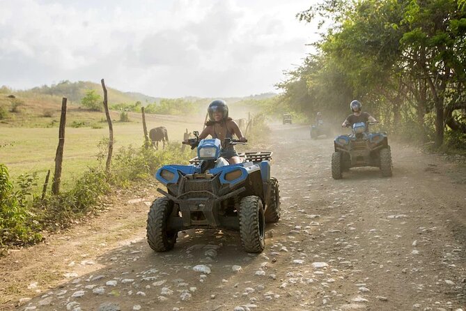 Zip-lining/Horseback Rides/Cat & Atv Inclusive Act with Transpo From Montego Bay - Horseback riding where the trail meets the sea