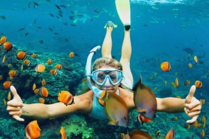 Zip-lining/Horseback Rides/Cat & Atv Inclusive Act with Transpo From Montego Bay - Snorkeling and the catamaran party cruise
