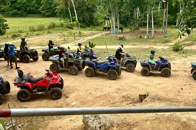 Zipline, Horseback Ride and Swim and Quad ATV bike in Negril - Why the private guide matters